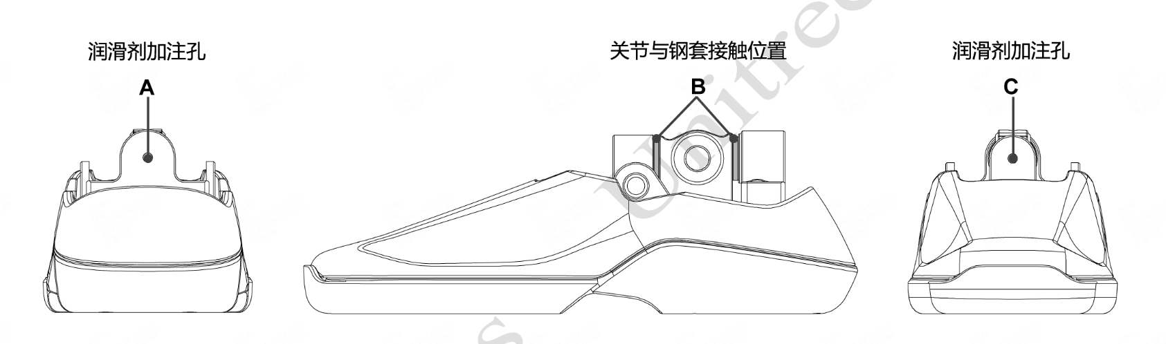 脚踝.png